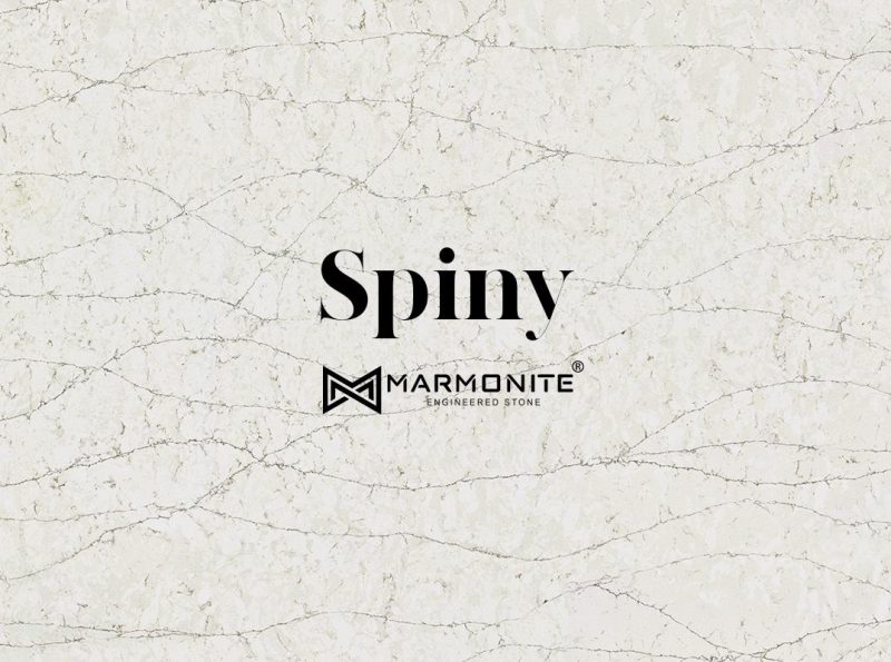 Marmonite-spiny