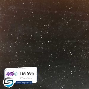 تیسان-TM595
