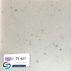 تیسان-TS421