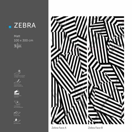 زیگما zebra