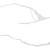سنگ کورین اورانوس سفید رگه بلند صدفیML 704